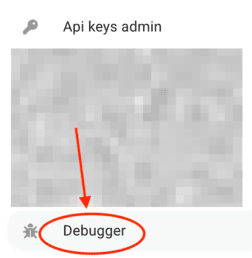 debugger in menu